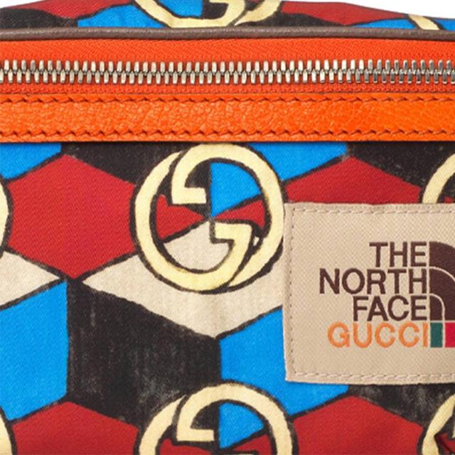 GUCCI x THE NORTH FACE Logo