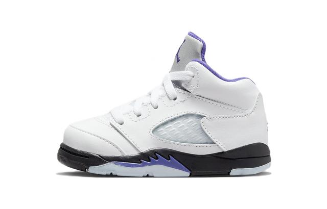 Jordan Air Jordan 5 Retro "Dark Concord"