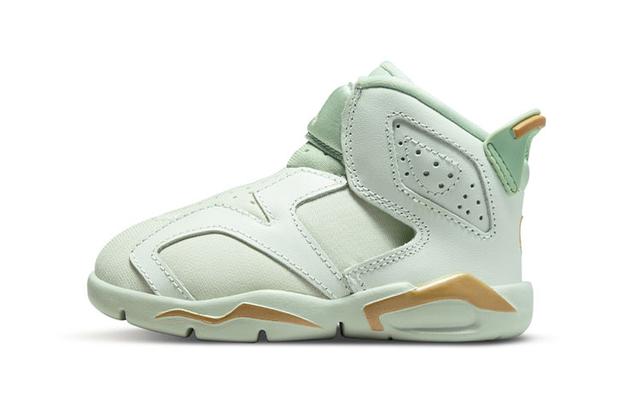 Jordan Air Jordan 6 LTL Flex GC