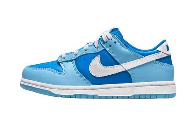 Nike Dunk Low retro qs "argon"