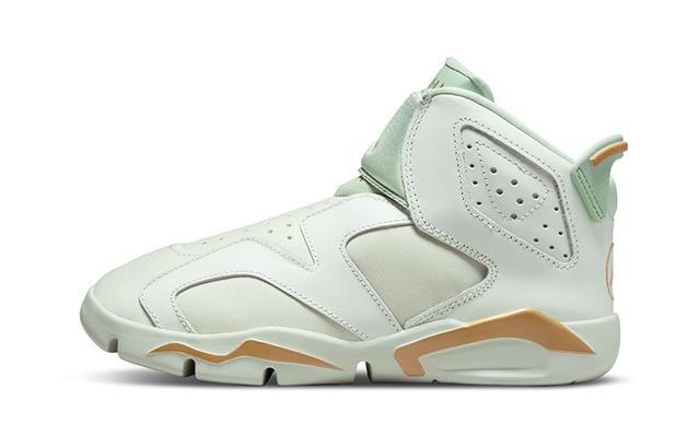 Jordan Air Jordan 6 Retro LTL Flex GC