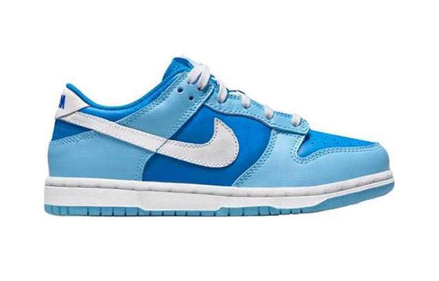 Nike Dunk Low retro qs "argon"