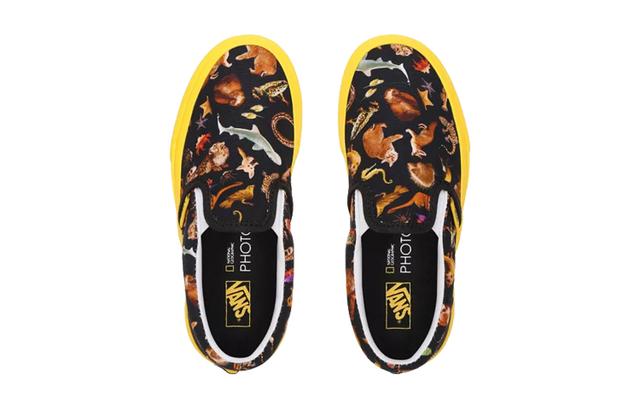 NATIONAL GEOGRAPHIC x Vans slip-on