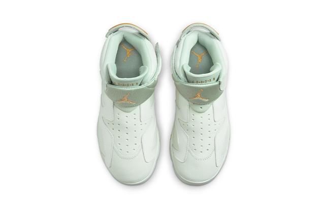 Jordan Air Jordan 6 Retro LTL Flex GC