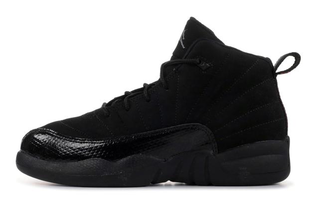 Jordan Air Jordan 12