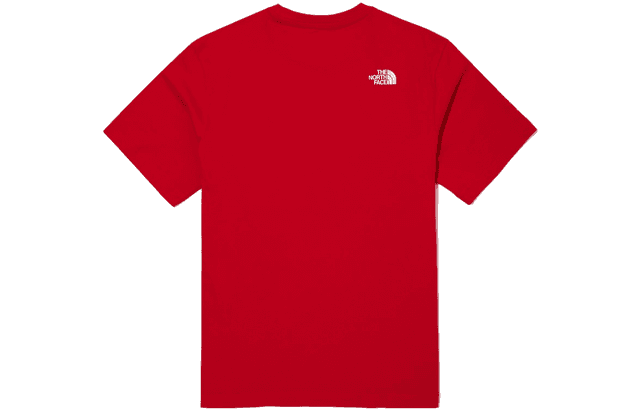 THE NORTH FACE SS22 Cotton big logo ex ss LogoT