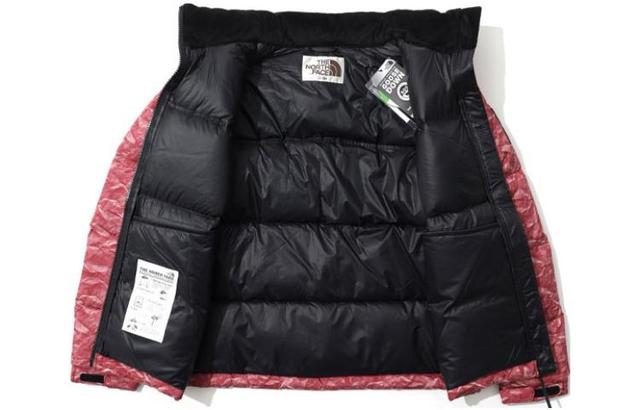 THE NORTH FACE Novelty Nuptse ECO