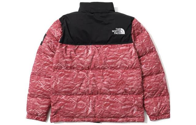 THE NORTH FACE Novelty Nuptse ECO