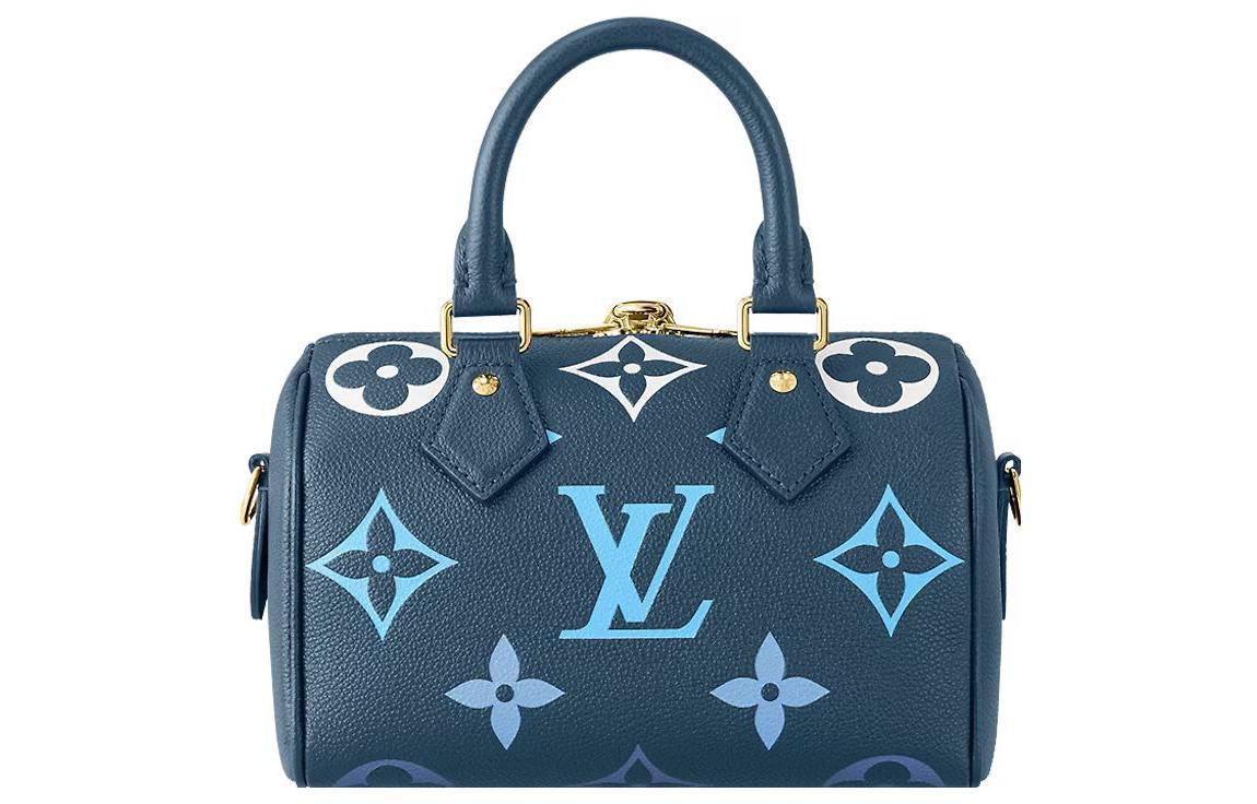 LOUIS VUITTON Speedy 20