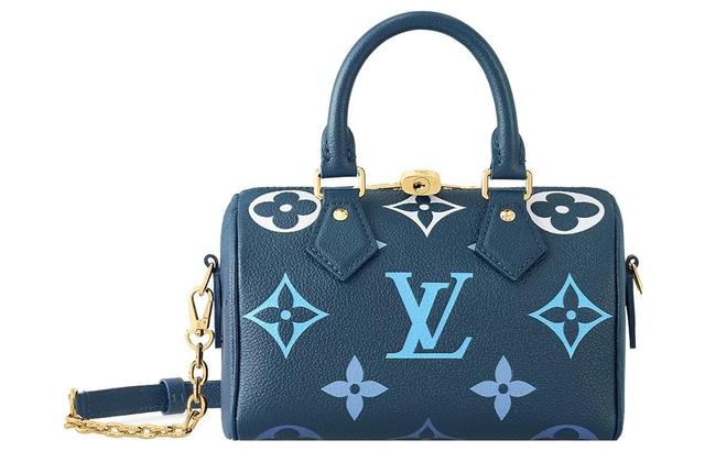 LOUIS VUITTON Speedy 20