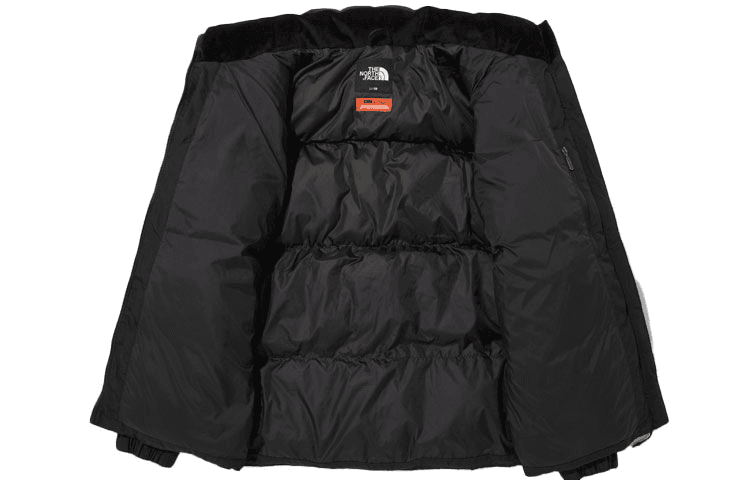 THE NORTH FACE Aspen Ex On Ball Jacket Logo