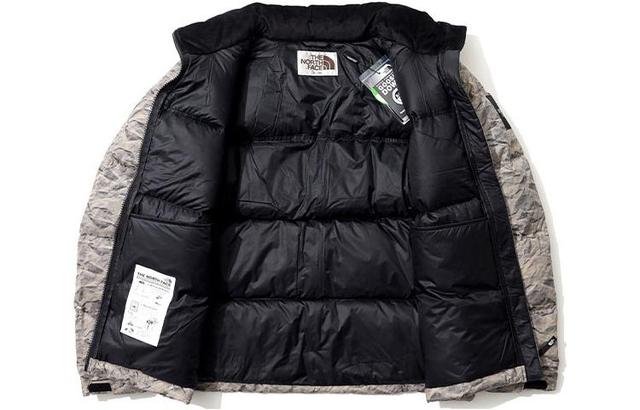 THE NORTH FACE Novelty Nuptse Logo