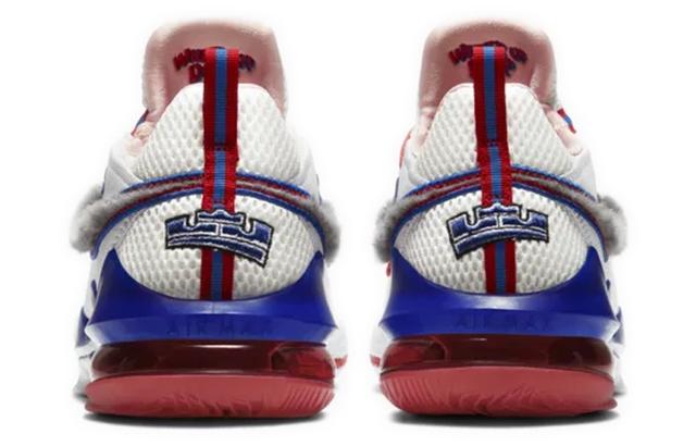 Nike Lebron 17