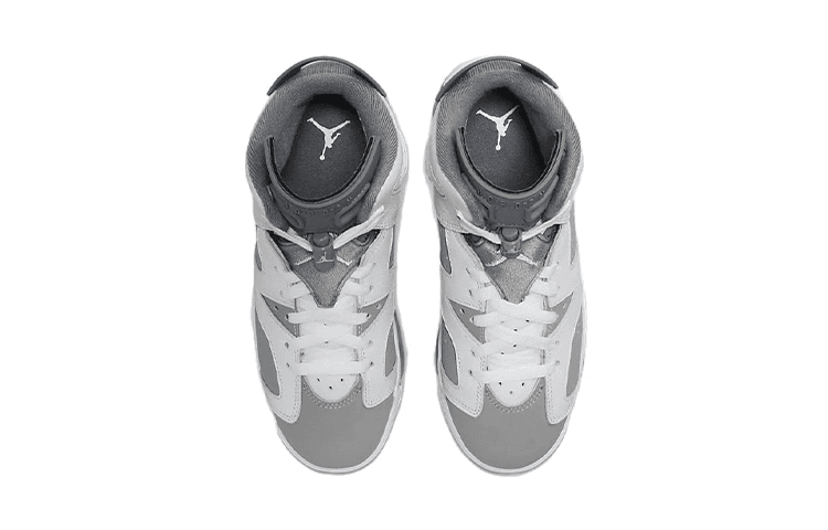 Jordan Air Jordan 6 Retro GS