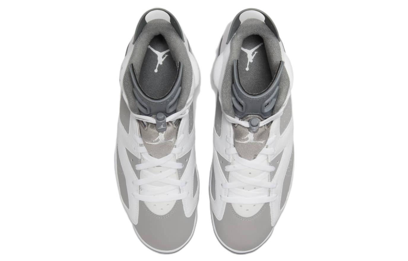 Jordan Air Jordan 6 "Cool Grey"