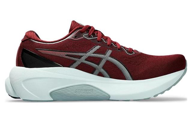 Asics Gel-Kayano 30