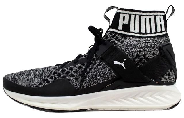 PUMA Ignite EvoKnit