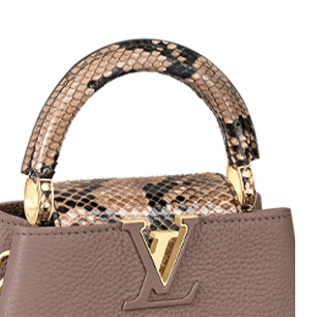 LOUIS VUITTON Capucines Logo Taupe