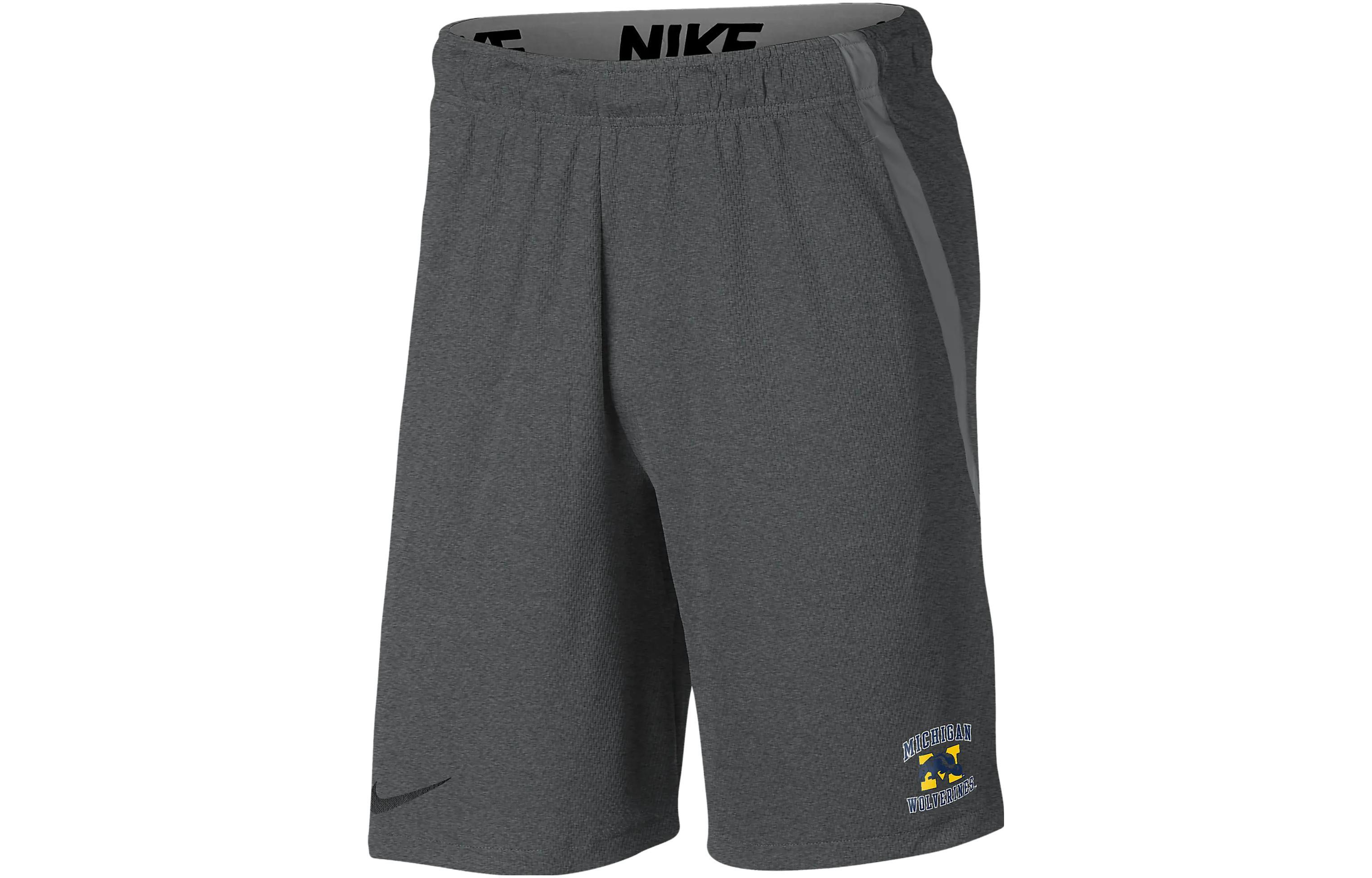 Nike Michigan Logo