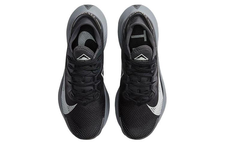 Nike Pegasus Trail 2