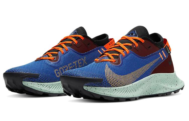 Nike Pegasus Trail 2 GORE-TEX