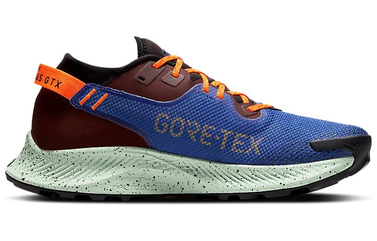 Nike Pegasus Trail 2 Zoom GORE-TEX