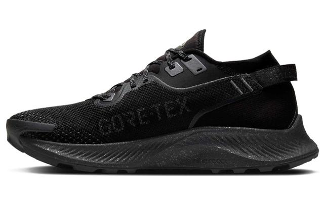 Nike Pegasus Trail 2 GORE-TEX