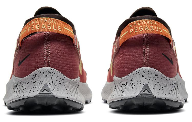 Nike Pegasus Trail 2