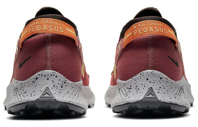 Nike Pegasus Trail 2