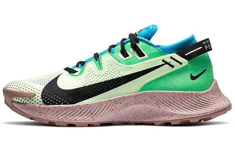 Nike Pegasus Trail 2