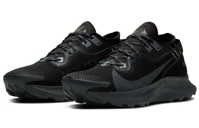 Nike Pegasus Trail 2 GORE-TEX