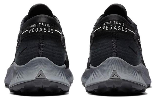 Nike Pegasus Trail 2