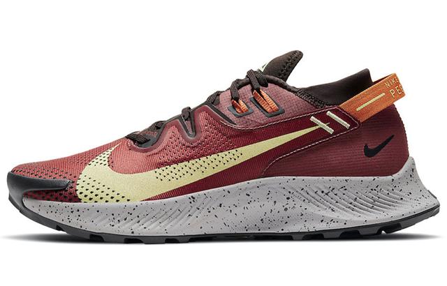 Nike Pegasus Trail 2