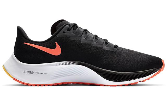 Nike Pegasus 37