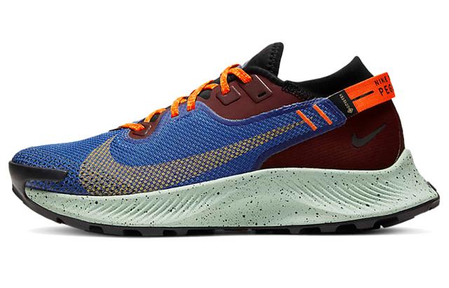 Nike Pegasus Trail 2 GORE-TEX