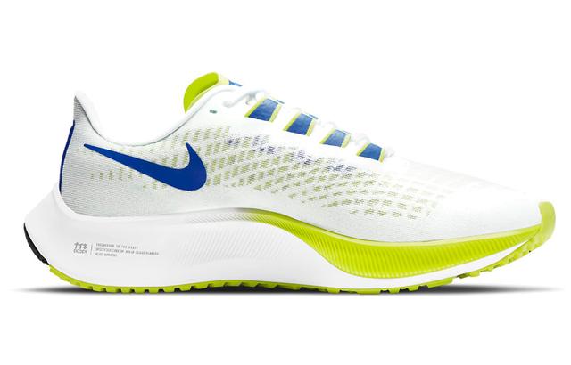 Nike Pegasus 37