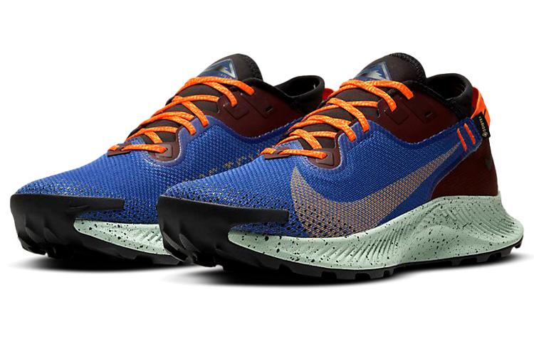 Nike Pegasus Trail 2 Zoom GORE-TEX