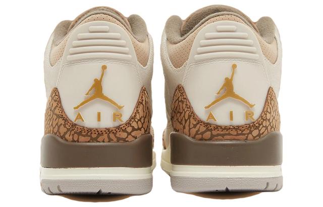 Jordan Air Jordan 3 "Orewood Brown"