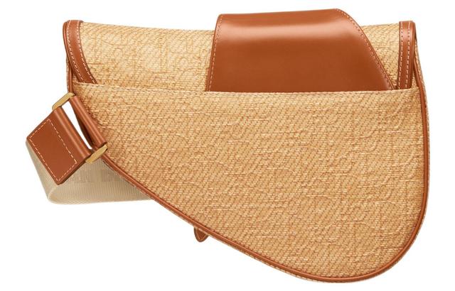 DIOR Saddle Oblique