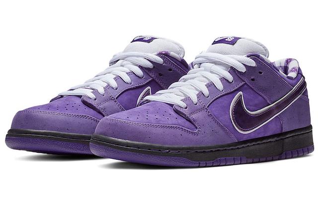 CONCEPTS x Nike Dunk SB Pro