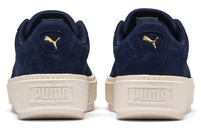 PUMA Platform Trace