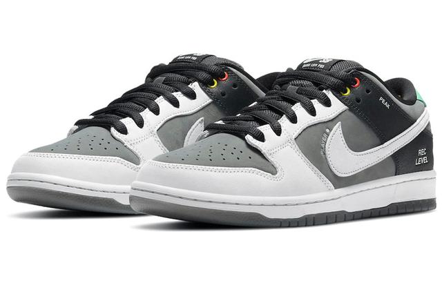 Nike Dunk SB pro iso "vx1000 camcorder"