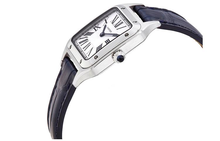 CARTIER 30 38*27.5mm WSSA0023