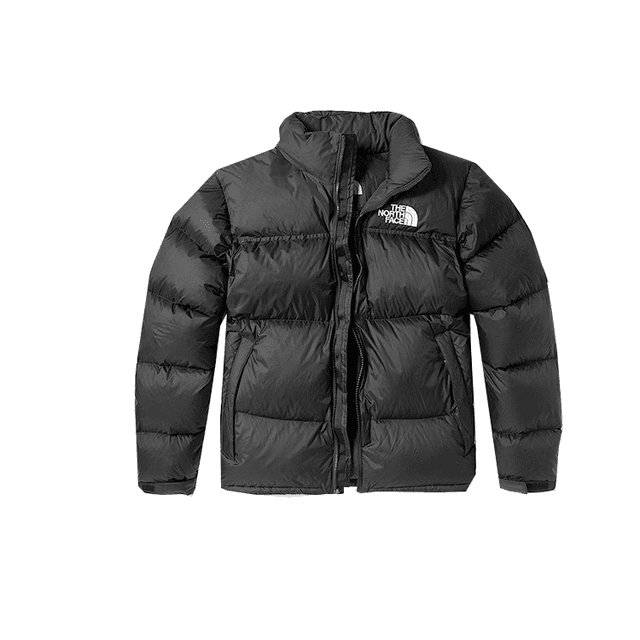 THE NORTH FACE Men's 1996 Retro Nuptse Jacket 700