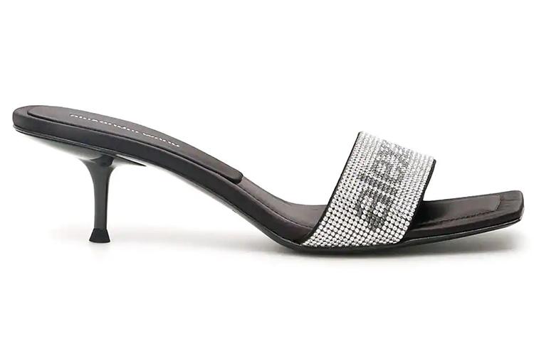 alexander wang Jessie