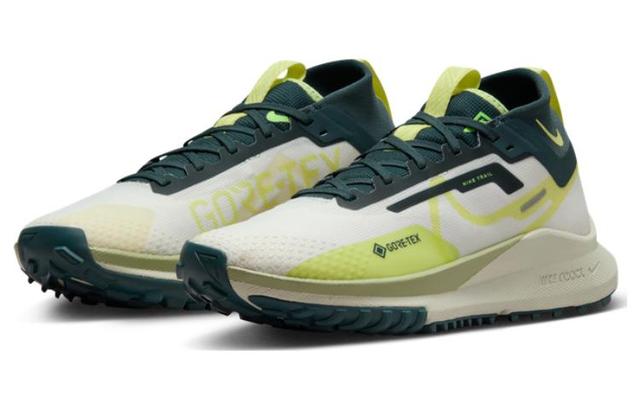 Nike Pegasus Trail 4 Gore-Tex