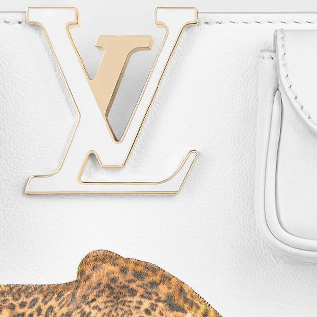 LOUIS VUITTON Artycapucines