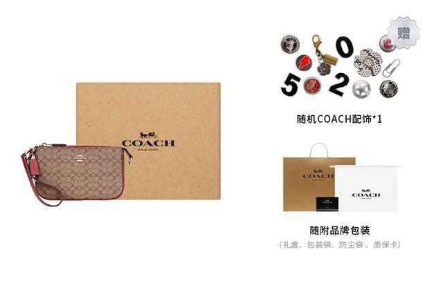 COACH Nolita 19