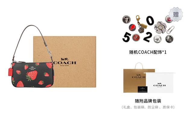 COACH Nolita 19