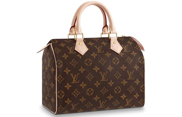 LOUIS VUITTON Speedy 25 25